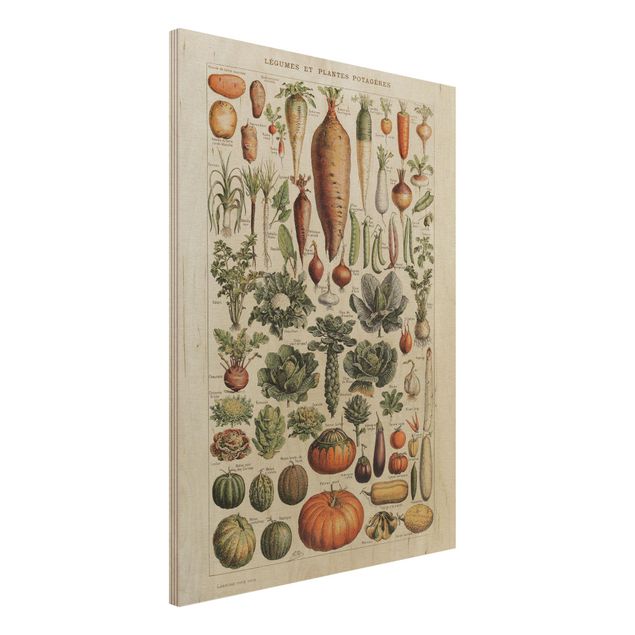 Dekoracja do kuchni Tablica edukacyjna w stylu vintage Warzywa