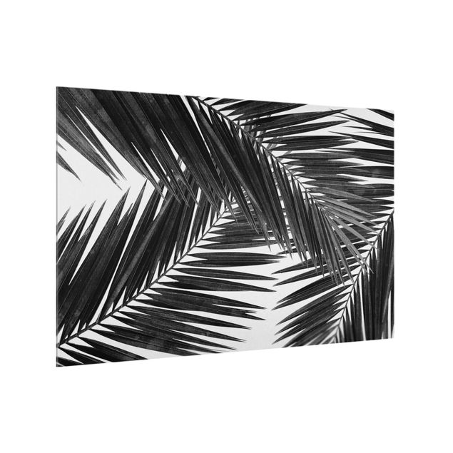 Panel szklany do kuchni - Widok przez liście palmy czarno-biały
