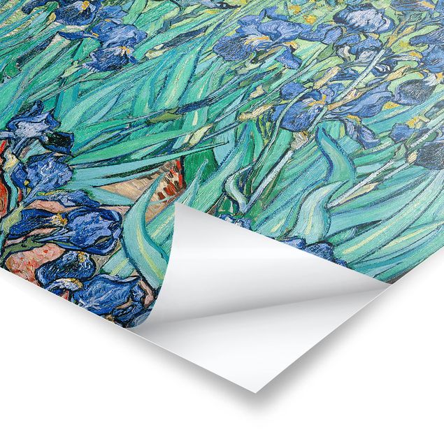 Obrazy z motywem kwiatowym Vincent van Gogh - Iris