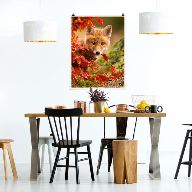 Obrazy nowoczesny Lis jesienią