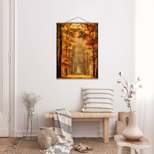 Nowoczesne obrazy do salonu Bajkowy las jesienią