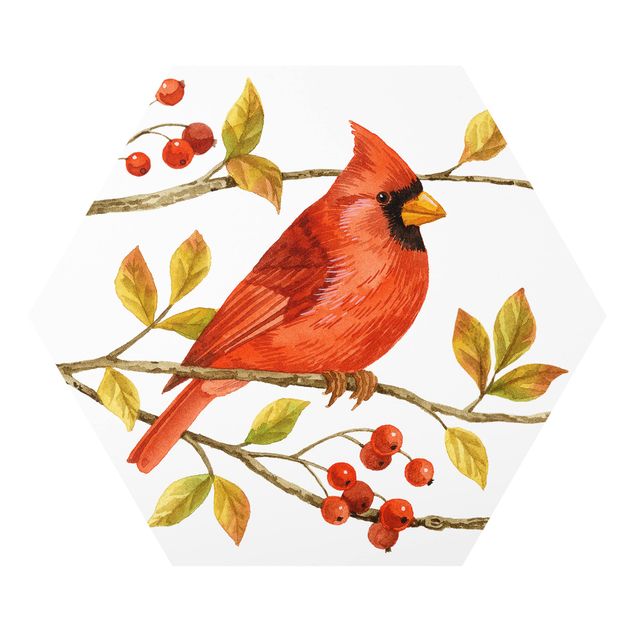 Obrazy vintage Ptaki i jagody - Czerwony kardynał
