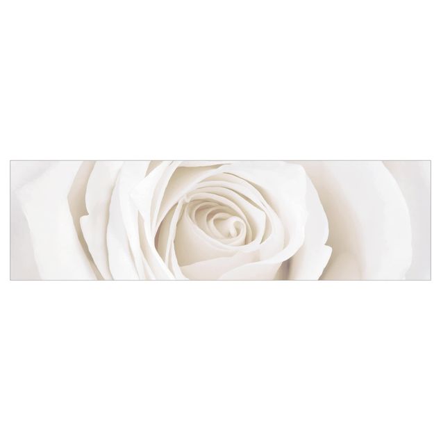 Panel ścienny do kuchni - Piękna biała róża