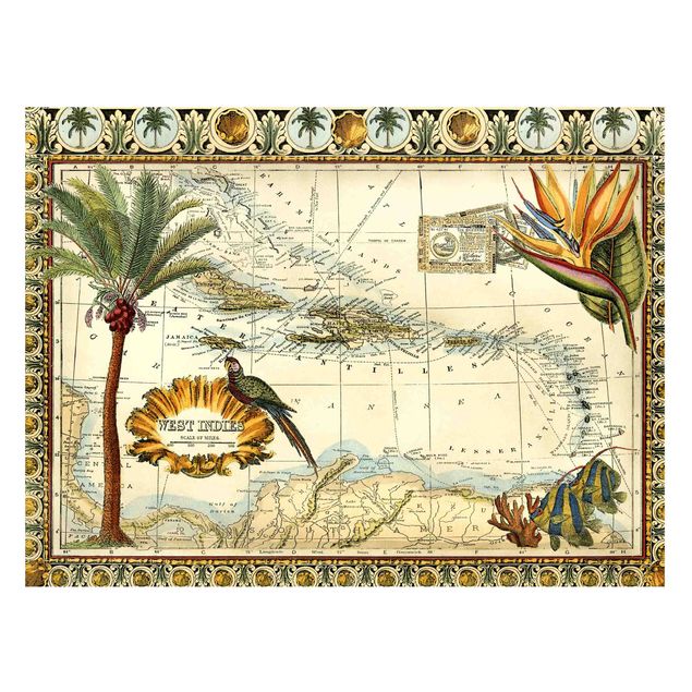 Nowoczesne obrazy do salonu zabytkowa mapa tropikalna Indii Zachodnich