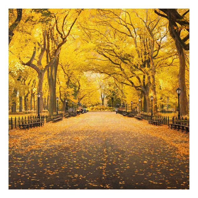 Nowoczesne obrazy do salonu Jesień w Central Parku