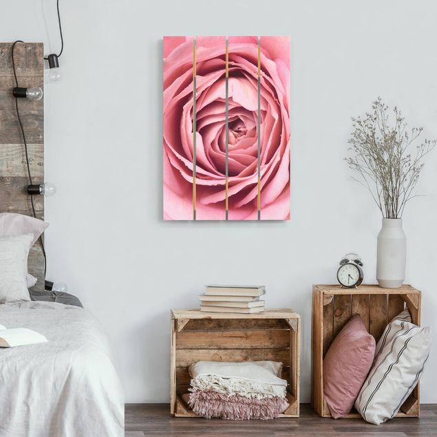 Obrazy Różowy kwiat róży