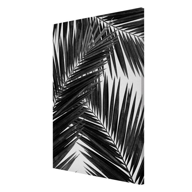 Nowoczesne obrazy Widok na liście palmy, czarno-biały