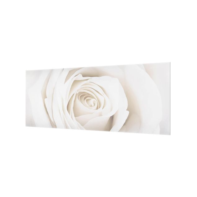 Panel szklany do kuchni - Piękna biała róża