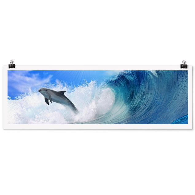 Obrazy morze Gra w delfiny