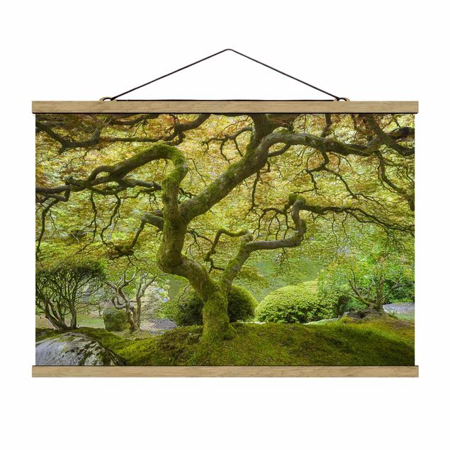 Obraz drzewo Zielony ogród japoński