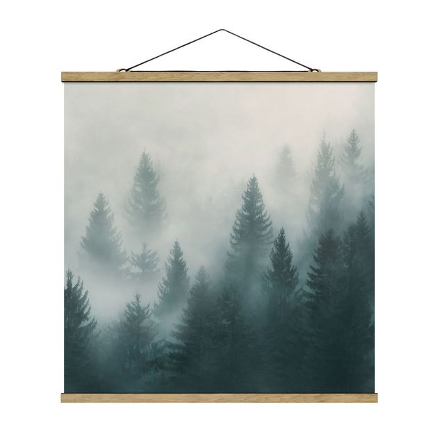 Obraz drzewo Las iglasty we mgle
