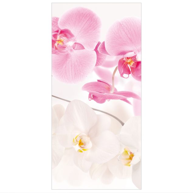 Parawan pokojowy Delikatne orchidee