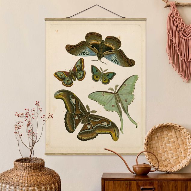 Dekoracja do kuchni Ilustracja w stylu vintage Motyle egzotyczne II