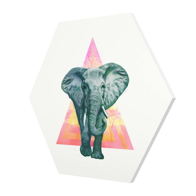 Kolorowe obrazy Ilustracja przedstawiająca słonia na tle trójkątnego obrazu