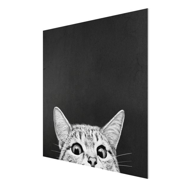 Obrazy do salonu nowoczesne Ilustracja kot czarno-biały rysunek