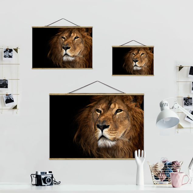 Obrazy Afryka Widok lwa