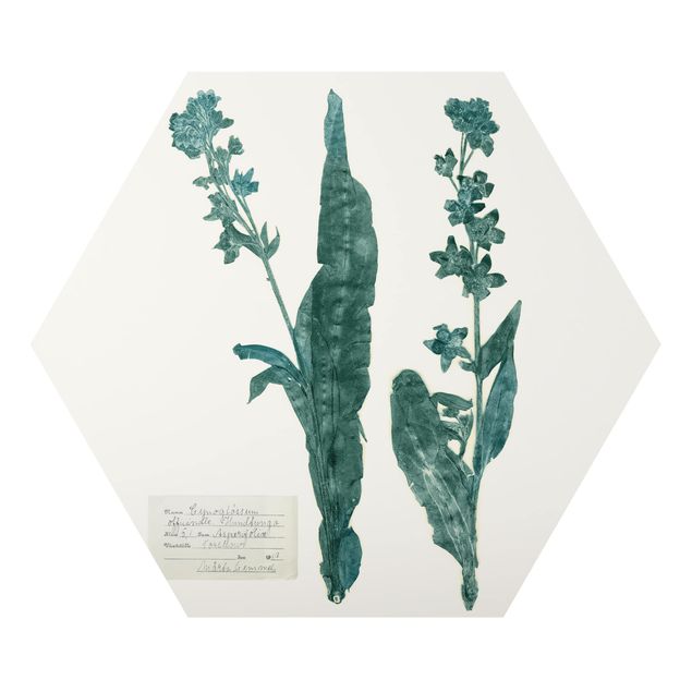 Obraz heksagonalny z Alu-Dibond - Pressed Flowers - Dogtooth
