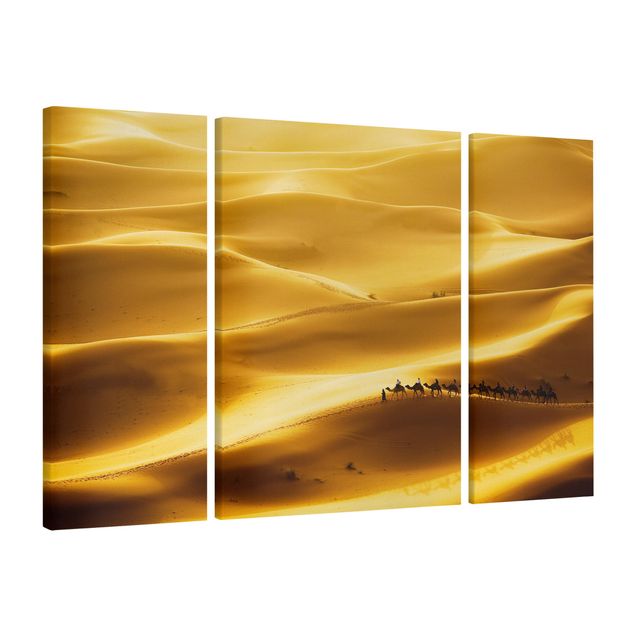 Obrazy krajobraz Złotoen Dunes