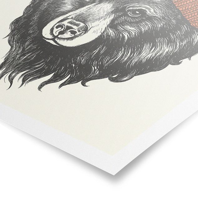 Zwierzęta obrazy Ilustracja Niedźwiedź z czerwoną czapką Rysunek