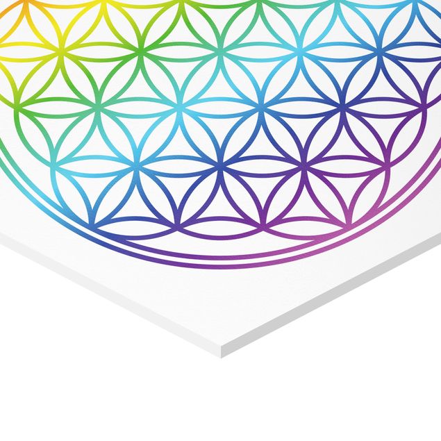 Obraz heksagonalny z Forex - Kwiat życia w kolorze tęczy