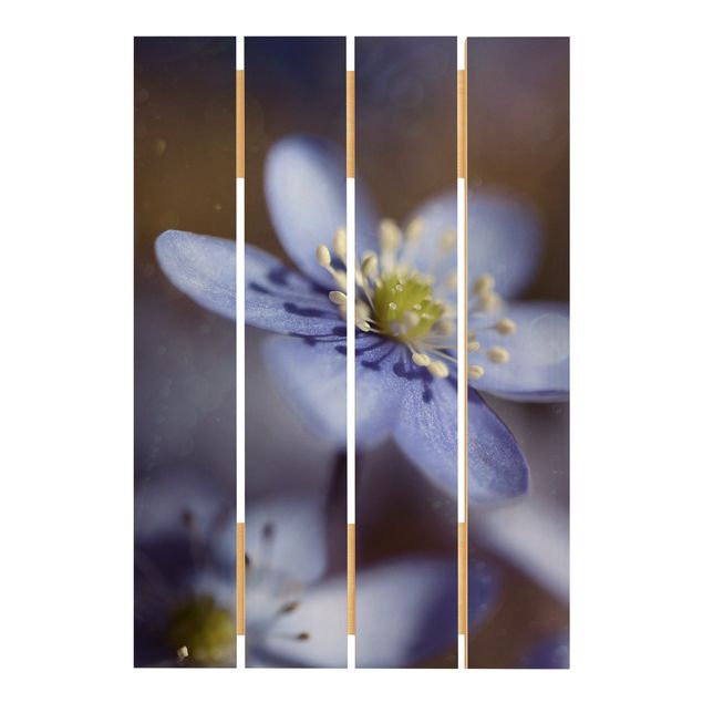 Obraz z drewna - Anemony w kolorze niebieskim