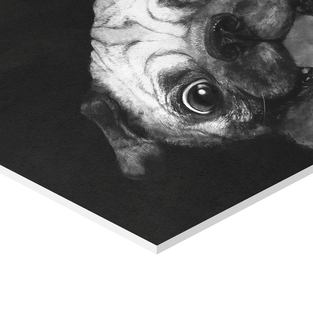 Obrazy artystów Ilustracja pies Pug malarstwo na czarno-biały