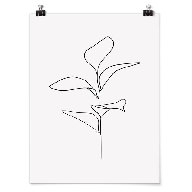 Czarno białe obrazki Line Art Liście roślin Czarne Białe