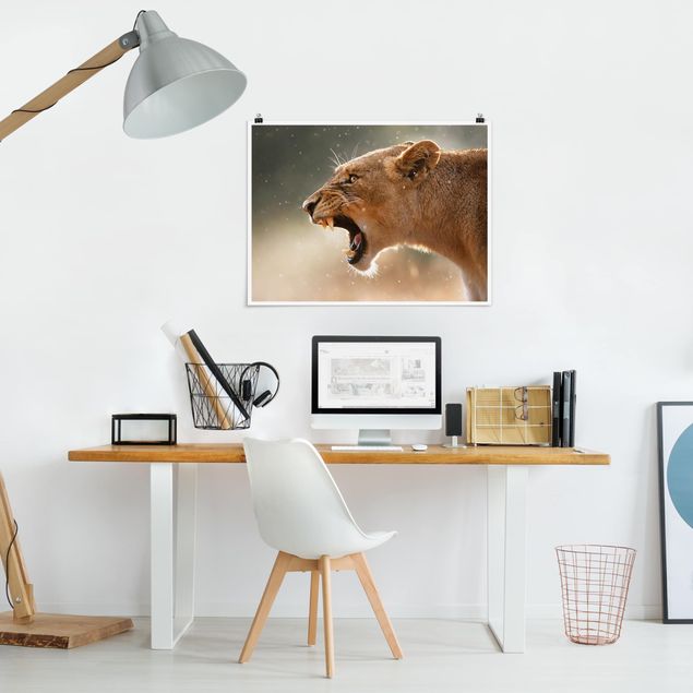 Obrazy nowoczesne Lwica na polowaniu
