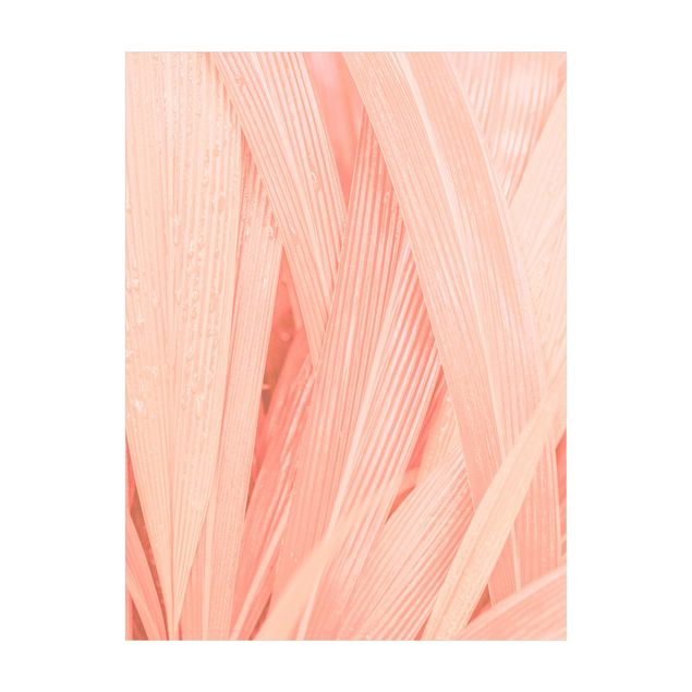 dywany w kwiaty Liście palmy Różowy