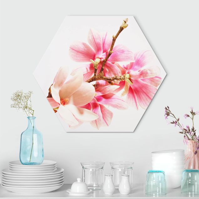 Obraz heksagonalny z Alu-Dibond - Kwiaty magnolii
