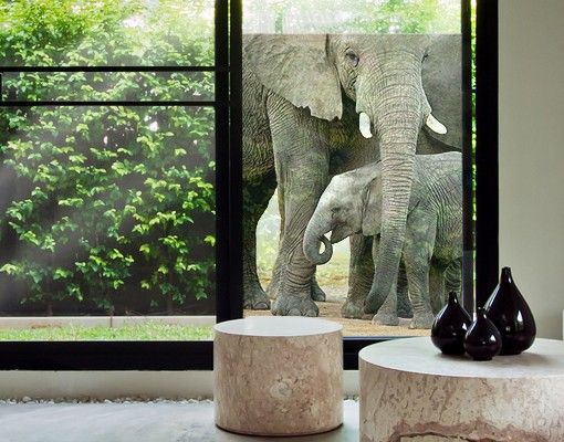 Folia okienna do sypialni Miłość słonia