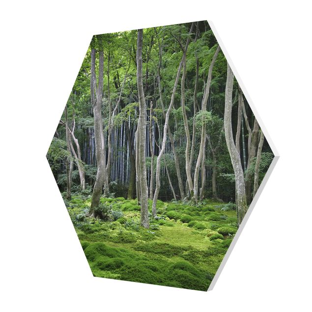 Zielony obraz Las japoński