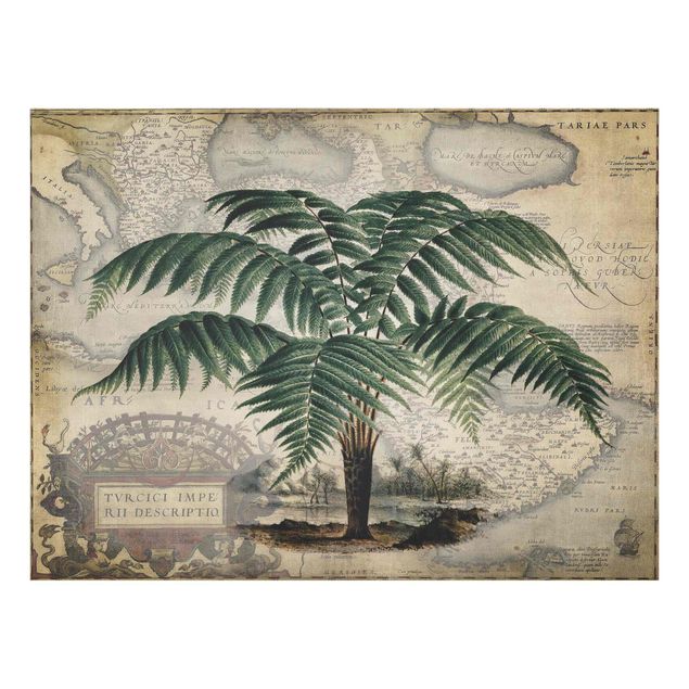 Panel szklany do kuchni - Kolaż w stylu vintage - drzewo palmowe i mapa świata