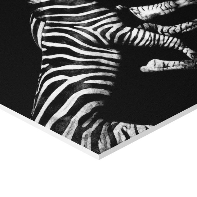 Obraz heksagonalny Zebra przed Czarnym