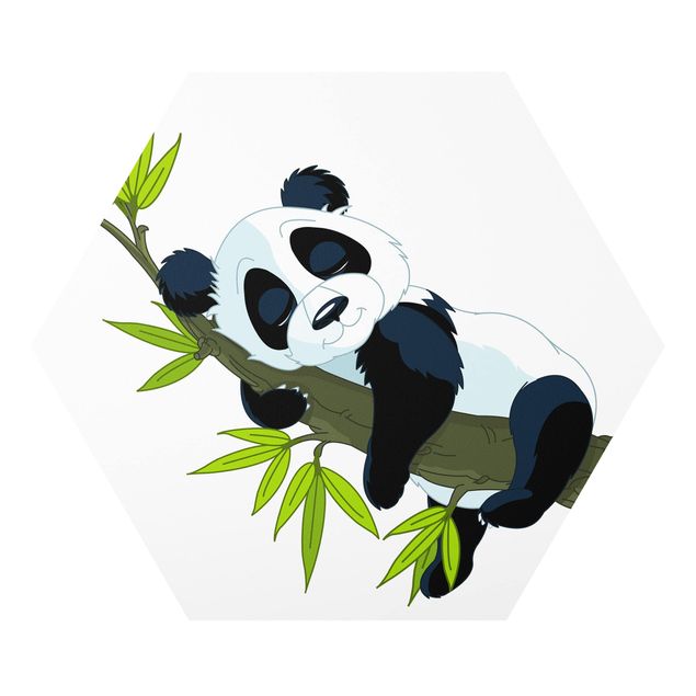 Obrazy ze zwierzętami Śpiąca panda