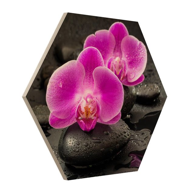 Obrazy duchowość Kwiaty różowej orchidei na kamieniach z kroplami