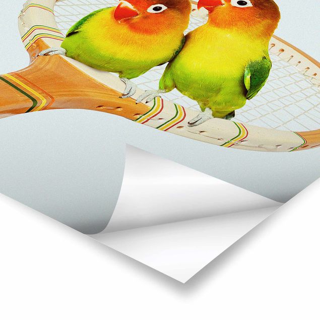 Plakaty ze zwierzętami Tenis z ptakami
