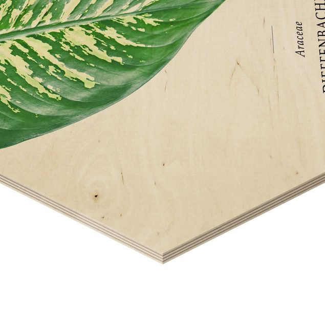 Obraz heksagonalny z drewna - Tropikalny liść Dieffenbachia