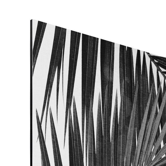 Obrazki czarno białe Widok na liście palmy, czarno-biały