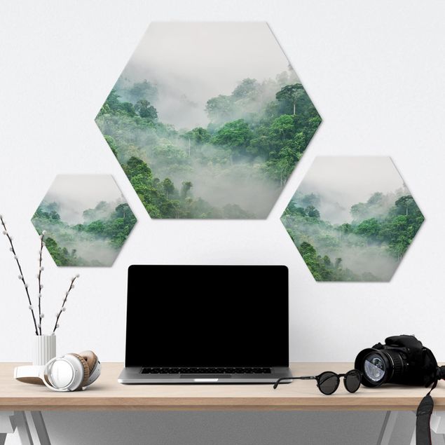 Obraz heksagonalny z Alu-Dibond - Dżungla we mgle
