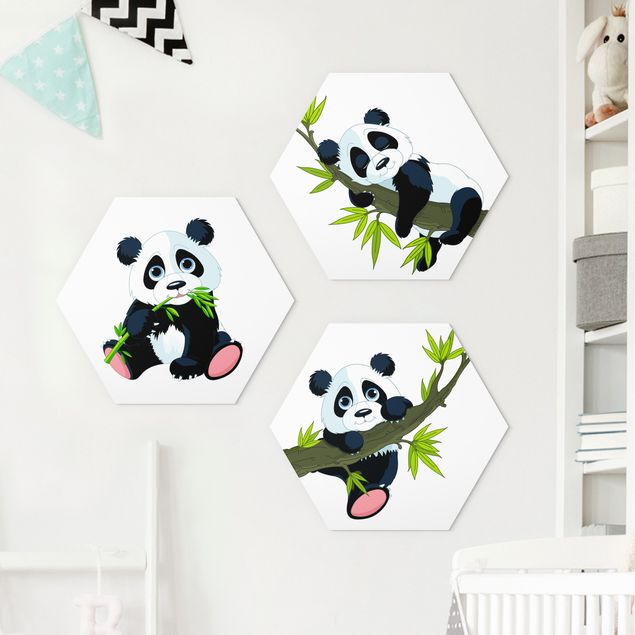Obraz heksagonalny z Forex 3-częściowy - Zestaw misiów panda