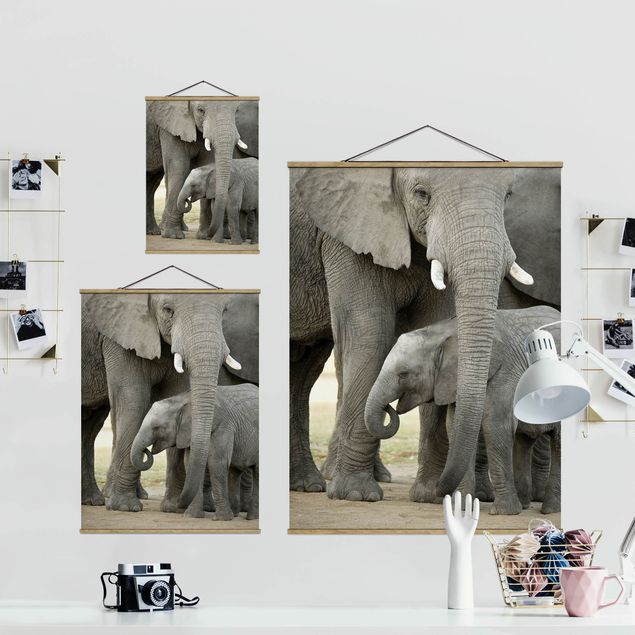 Obrazy Afryka Miłość słonia