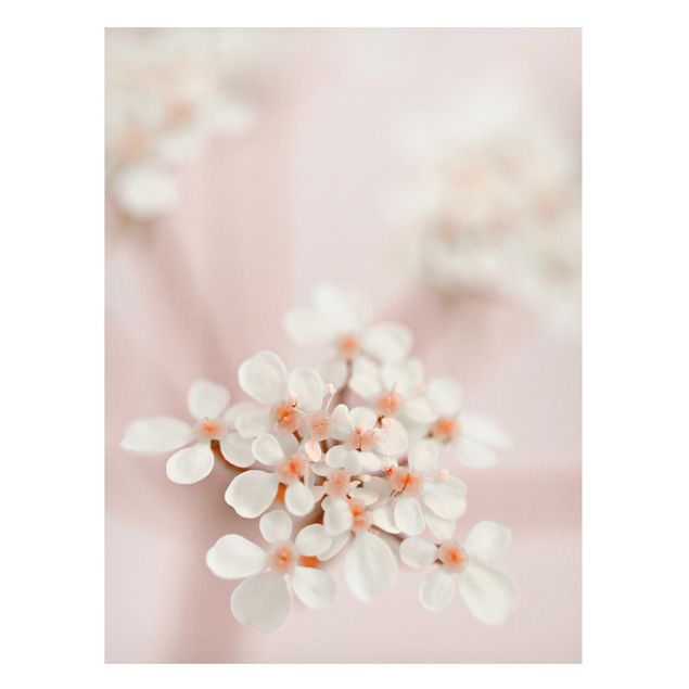 Obrazy do salonu Mini Blossoms w różowym świetle