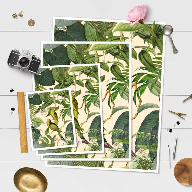 Zielony obraz Kolaże w stylu vintage - Papugi w dżungli