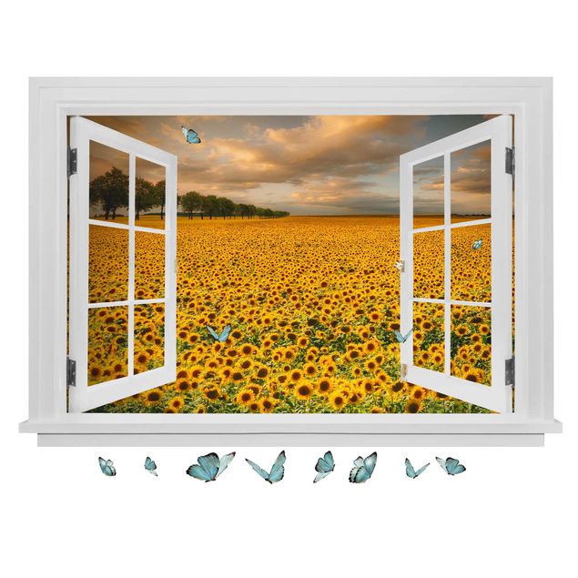 Naklejki na ścianę kwiaty Otwarte okno pole z kwiatami słonecznika