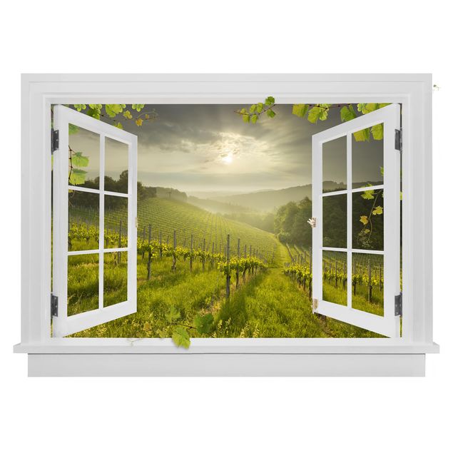 Naklejki ścienne 3d Otwarte okno, promienie słońca Winnica z winoroślą i winogronami