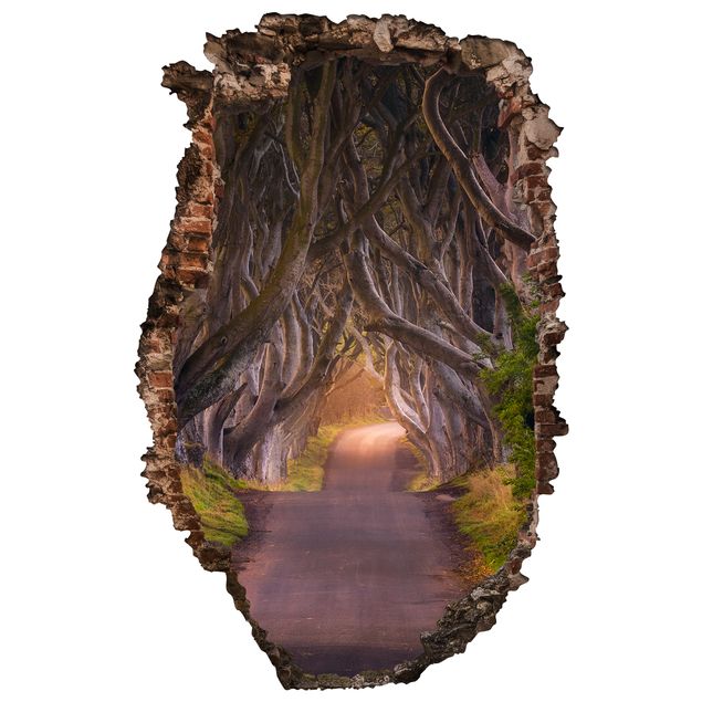 Naklejki na ścianę drzewa Tunel z drzew