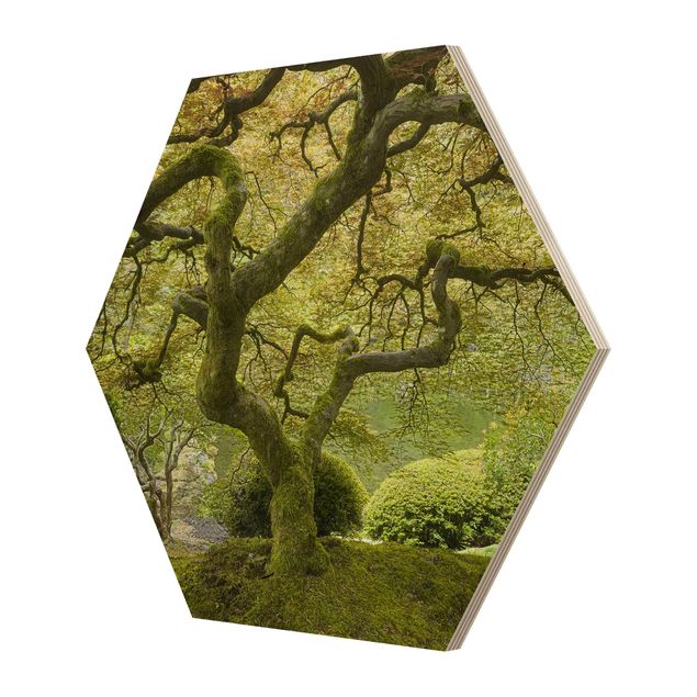 Obraz heksagonalny z drewna - Zielony ogród japoński