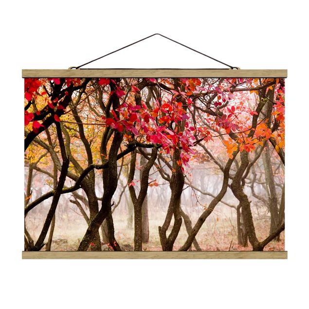 Drzewo obraz Japonia jesienią
