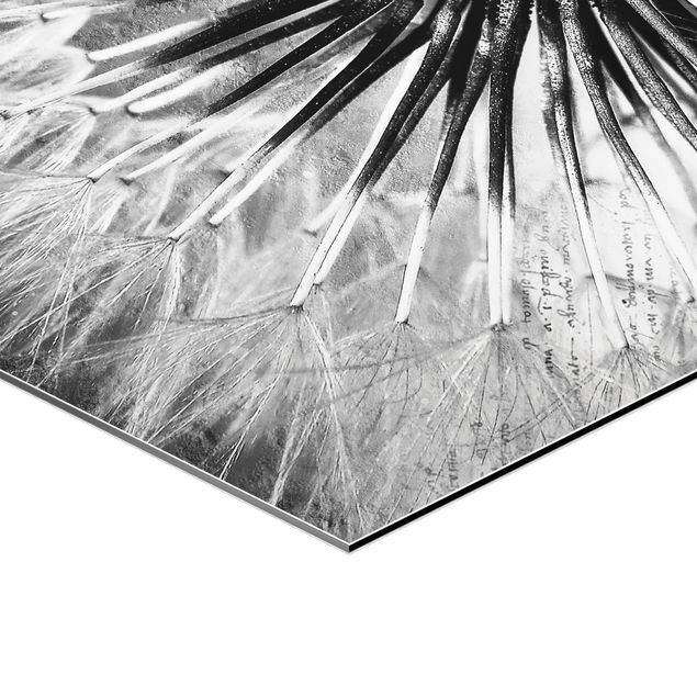 Obraz heksagonalny z Alu-Dibond - Dandelion czarno-biały